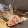 スカーレット テンプル ピンク レムリアン