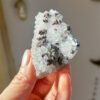 チャルコパイライト　共生　水晶