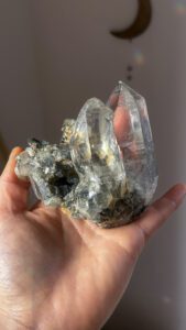 ブラック　マニハール