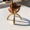 肉厚・個性的デザートローズ　鉱物標本 - 画像 (3)