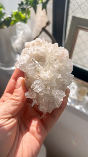マニカラン　お花のような手のひらクラスター Blooming Snow