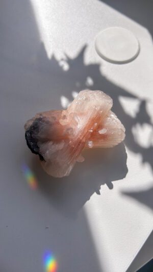 うるつやしっかりピンクのスティルバイトの沸石結晶群　Pink rose