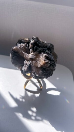 レア！奇妙でおおきな灰かぶりつやつやスティルバイト Black Daria