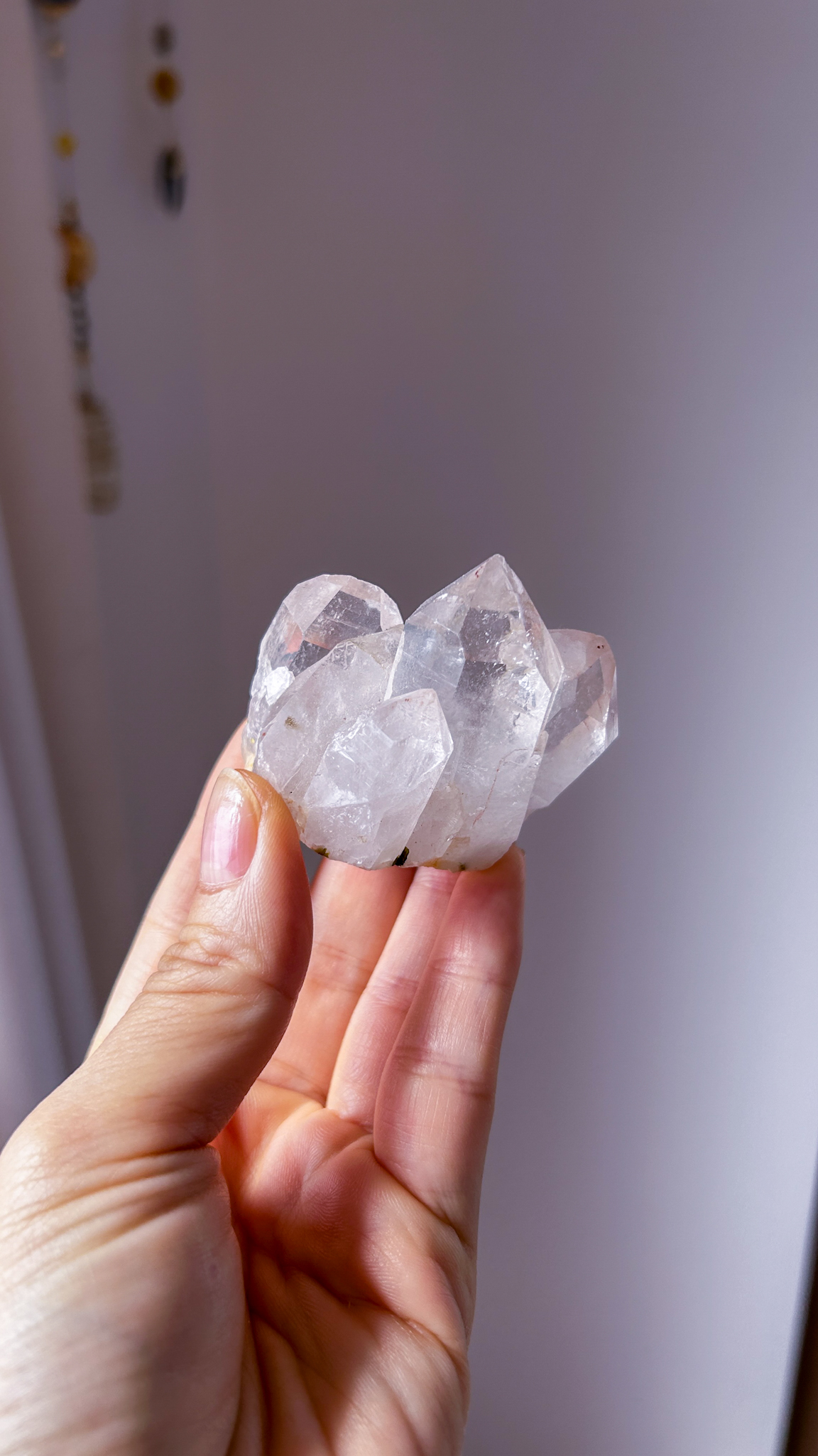 綺麗に自立・透明感・グリーントルマリン共生 淡いトマスゴンサガ産水晶水晶 Peaceful - 画像 (2)