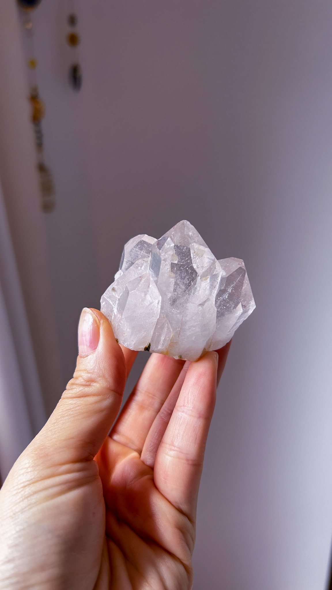 綺麗に自立・透明感・グリーントルマリン共生 淡いトマスゴンサガ産水晶水晶 Peaceful