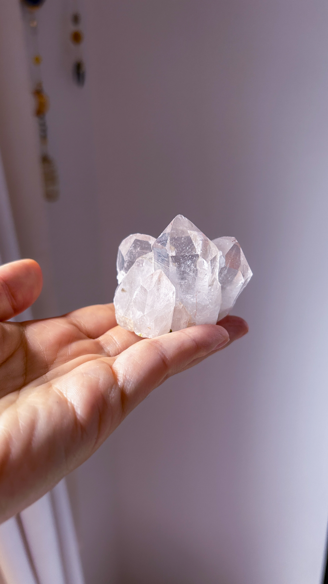 綺麗に自立・透明感・グリーントルマリン共生 淡いトマスゴンサガ産水晶水晶 Peaceful - 画像 (5)