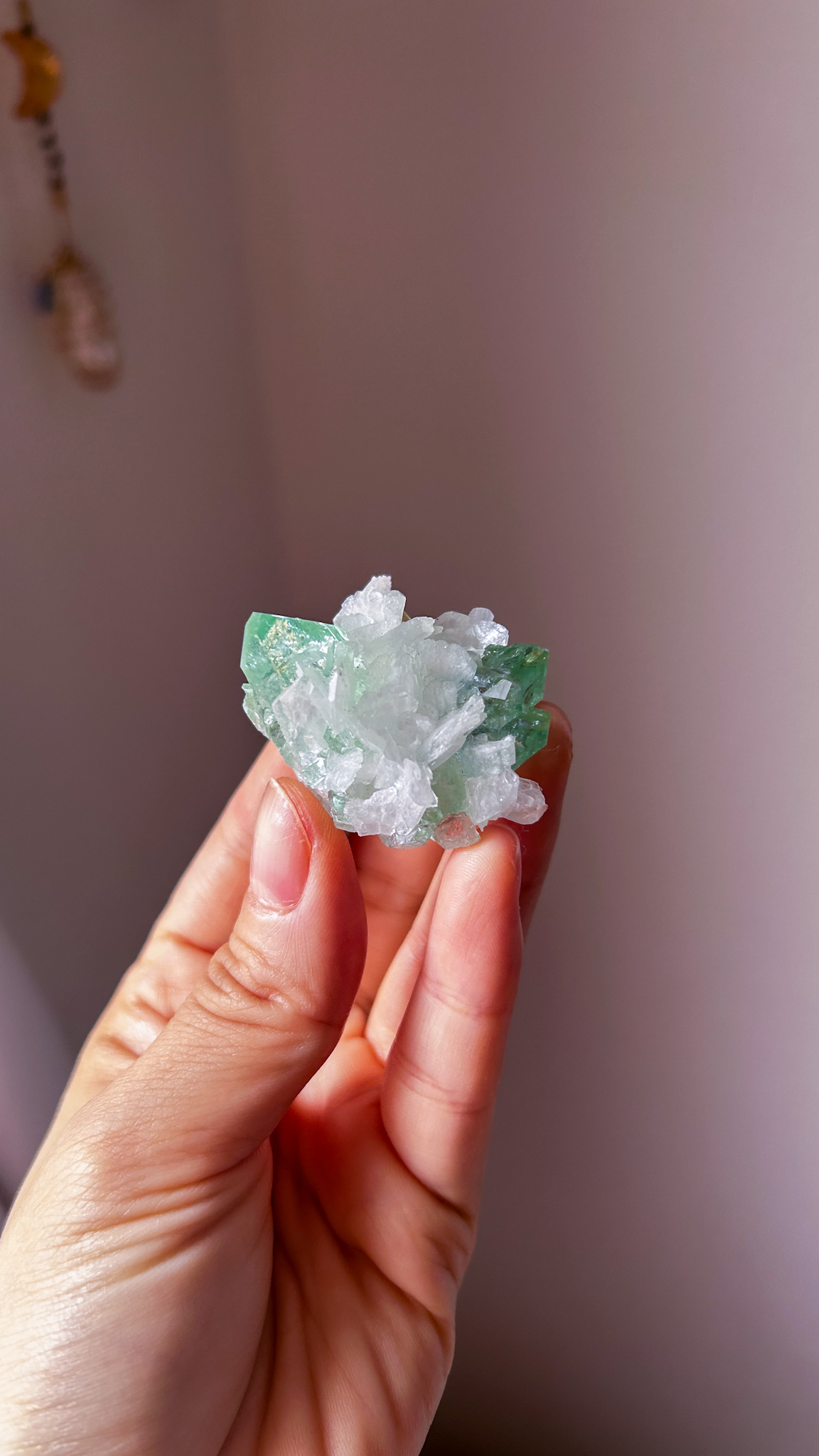 完璧なフォルム <受け入れる力> コレクションピース 高貴なエメラルド色 美しいグリーンアポフィライト Pure gem of holyland - 画像 (4)