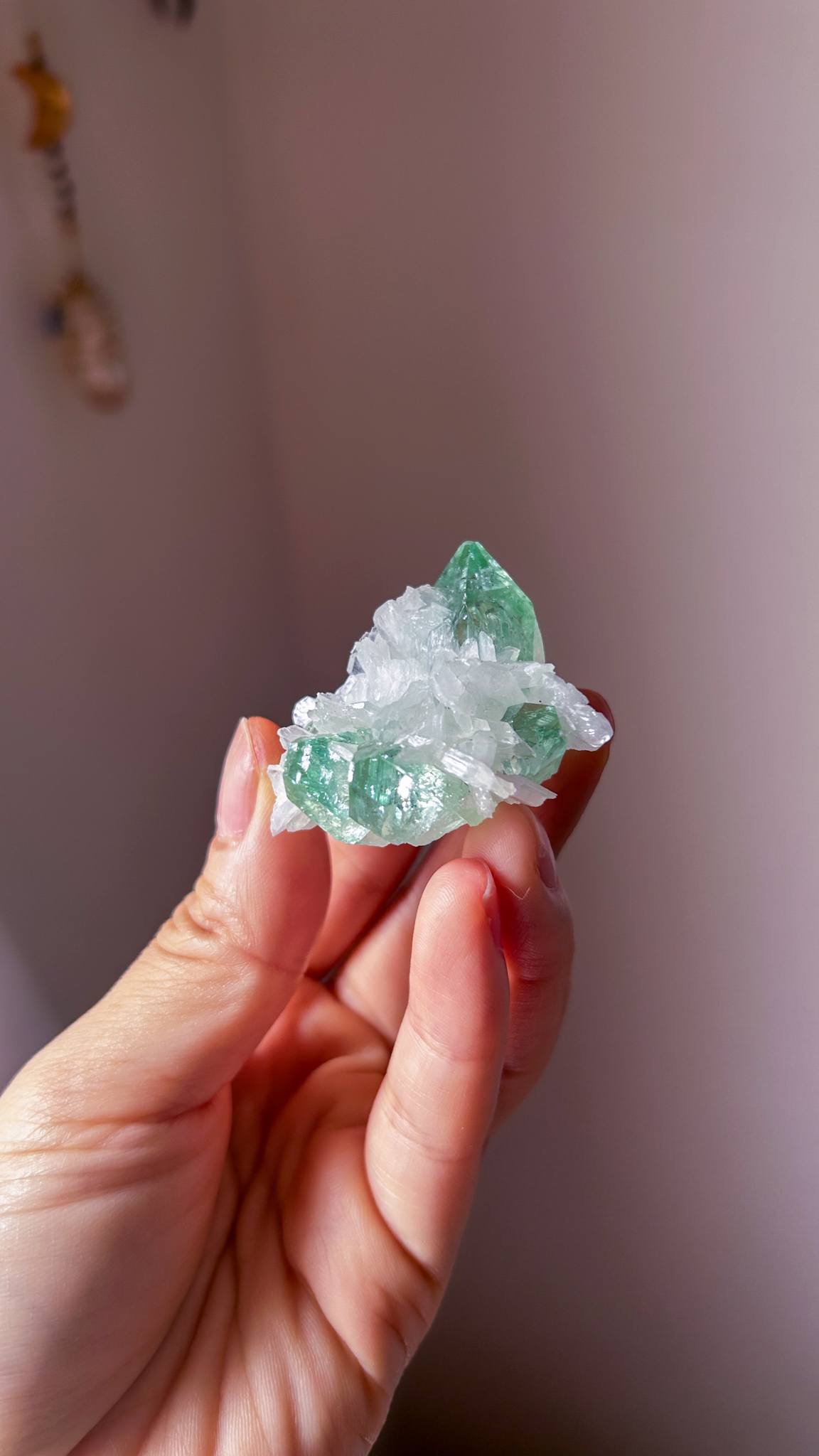 完璧なフォルム <受け入れる力> コレクションピース 高貴なエメラルド色 美しいグリーンアポフィライト Pure gem of holyland