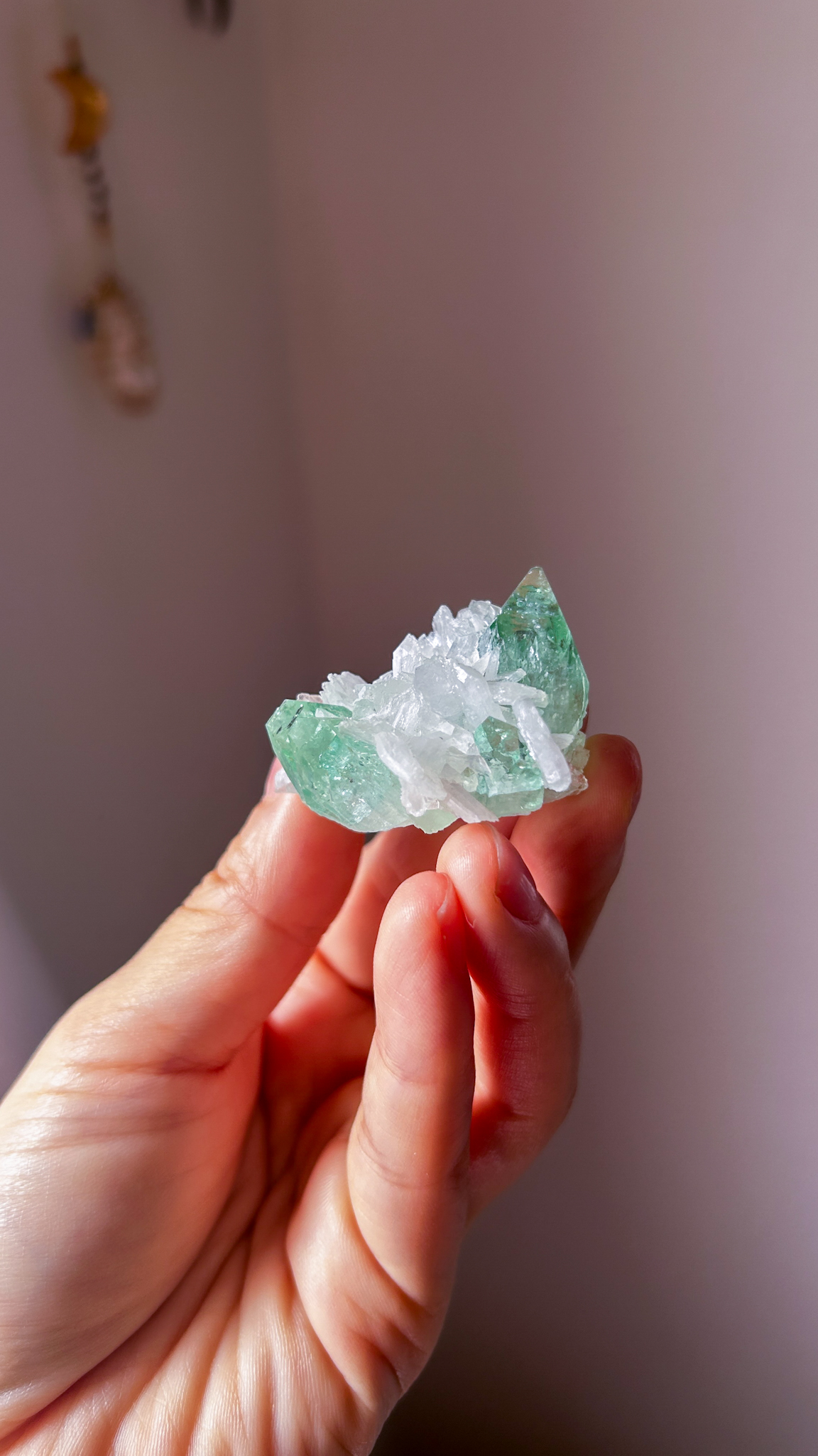 完璧なフォルム <受け入れる力> コレクションピース 高貴なエメラルド色 美しいグリーンアポフィライト Pure gem of holyland - 画像 (6)