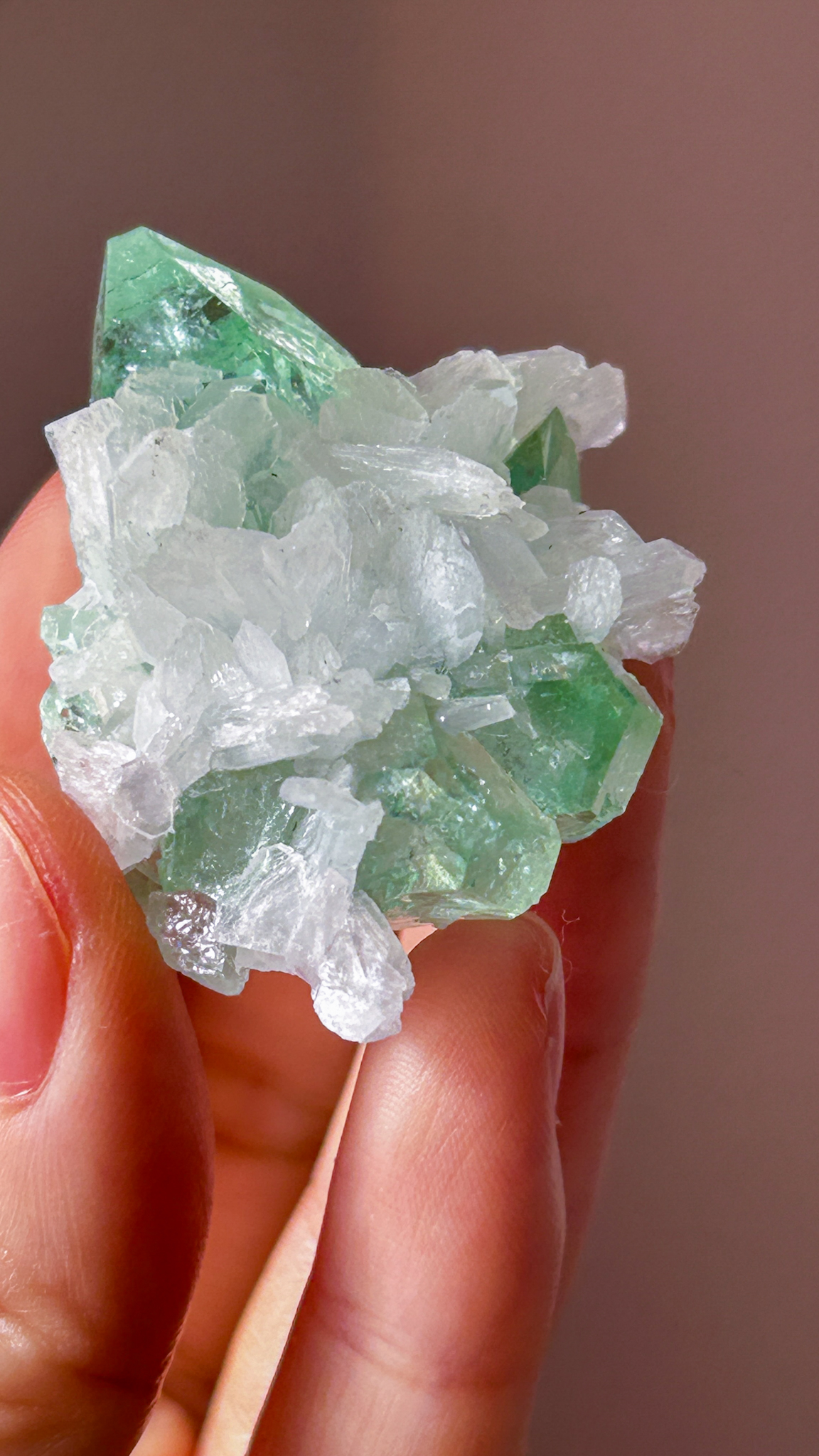 完璧なフォルム <受け入れる力> コレクションピース 高貴なエメラルド色 美しいグリーンアポフィライト Pure gem of holyland - 画像 (7)