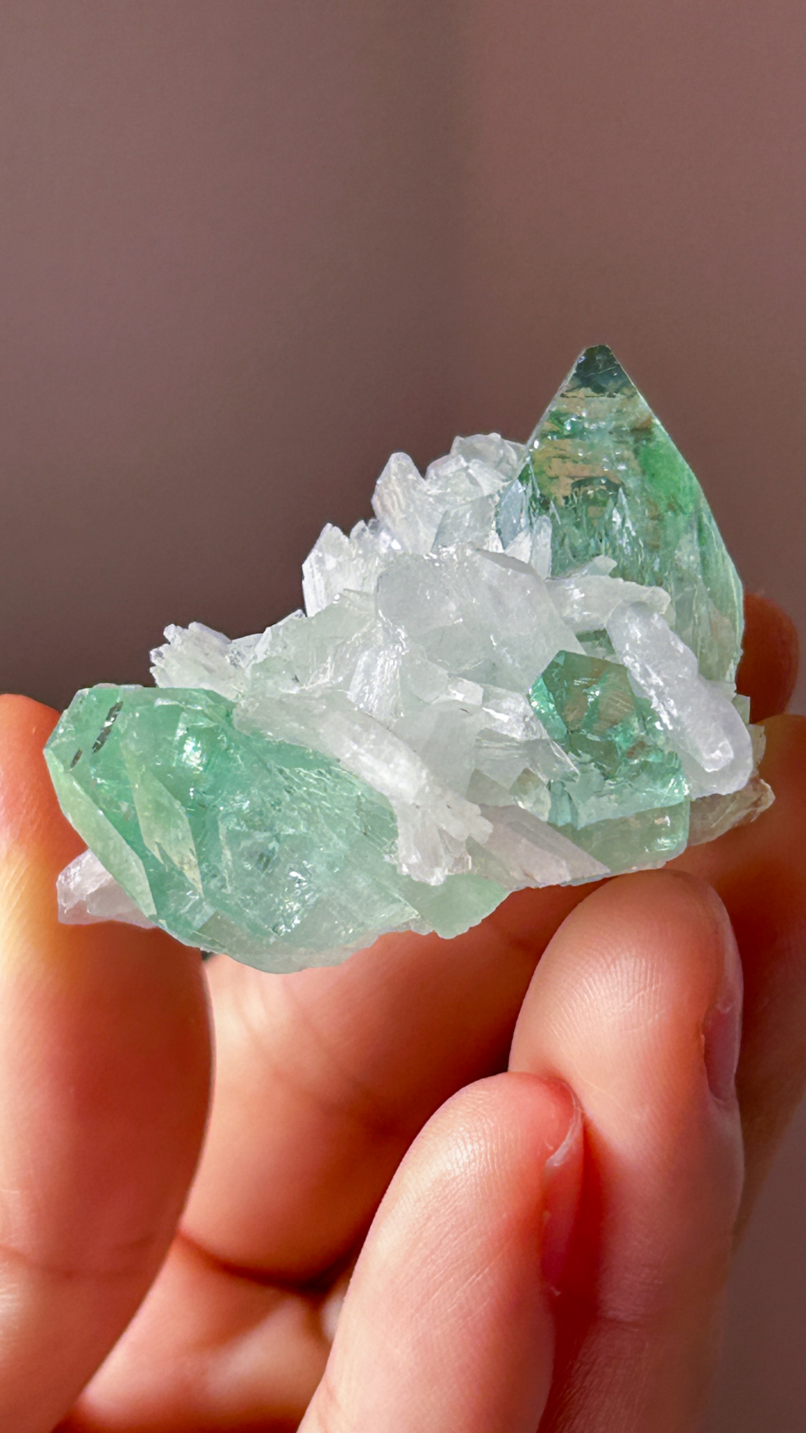 完璧なフォルム <受け入れる力> コレクションピース 高貴なエメラルド色 美しいグリーンアポフィライト Pure gem of holyland - 画像 (8)