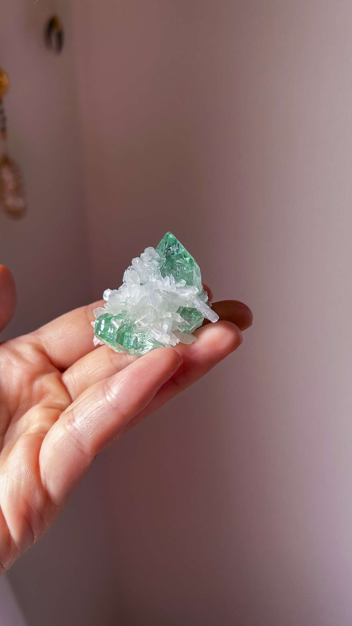 完璧なフォルム <受け入れる力> コレクションピース 高貴なエメラルド色 美しいグリーンアポフィライト Pure gem of holyland - 画像 (9)