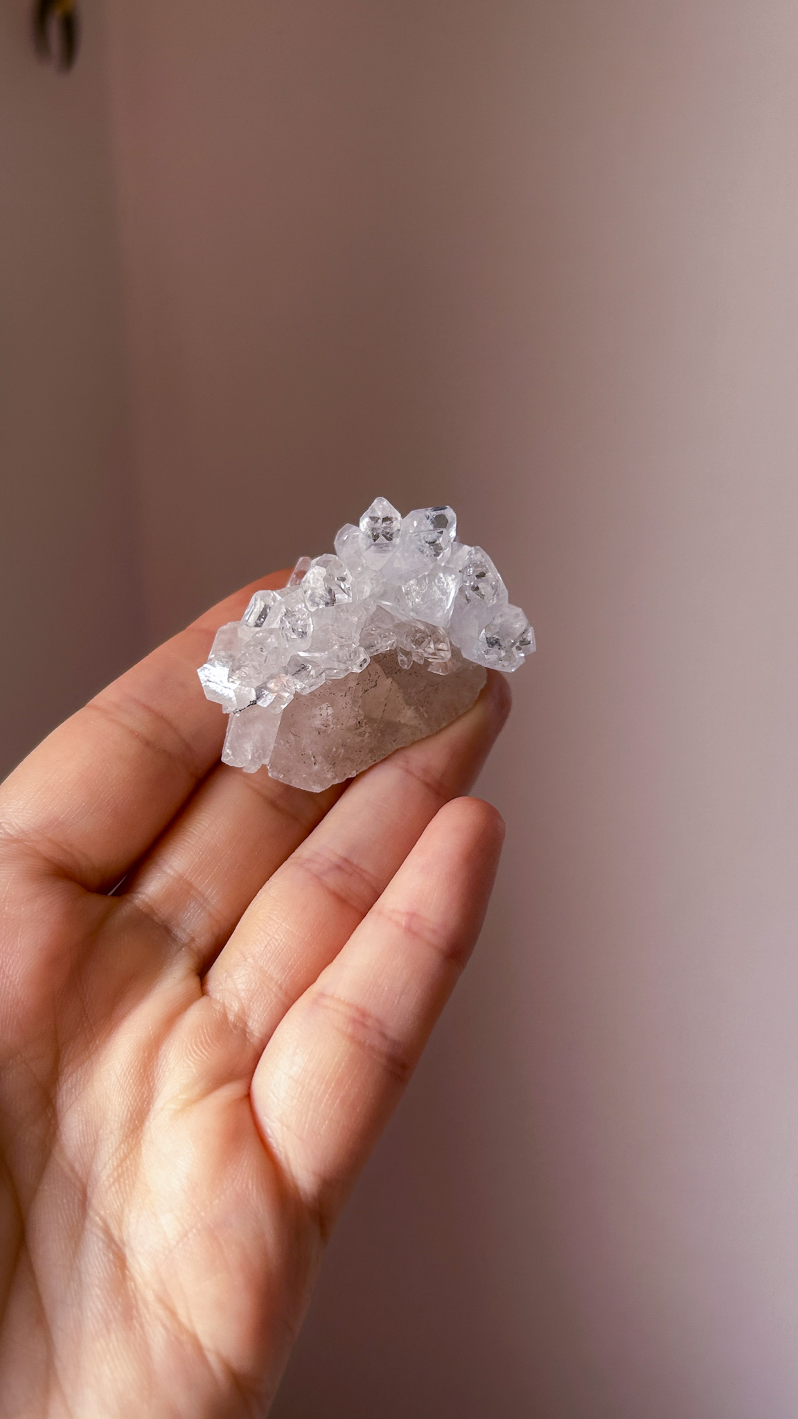 星の輝き 高品質なキラキラ・アポフィライトOnカルサイト Full of stars - 画像 (2)