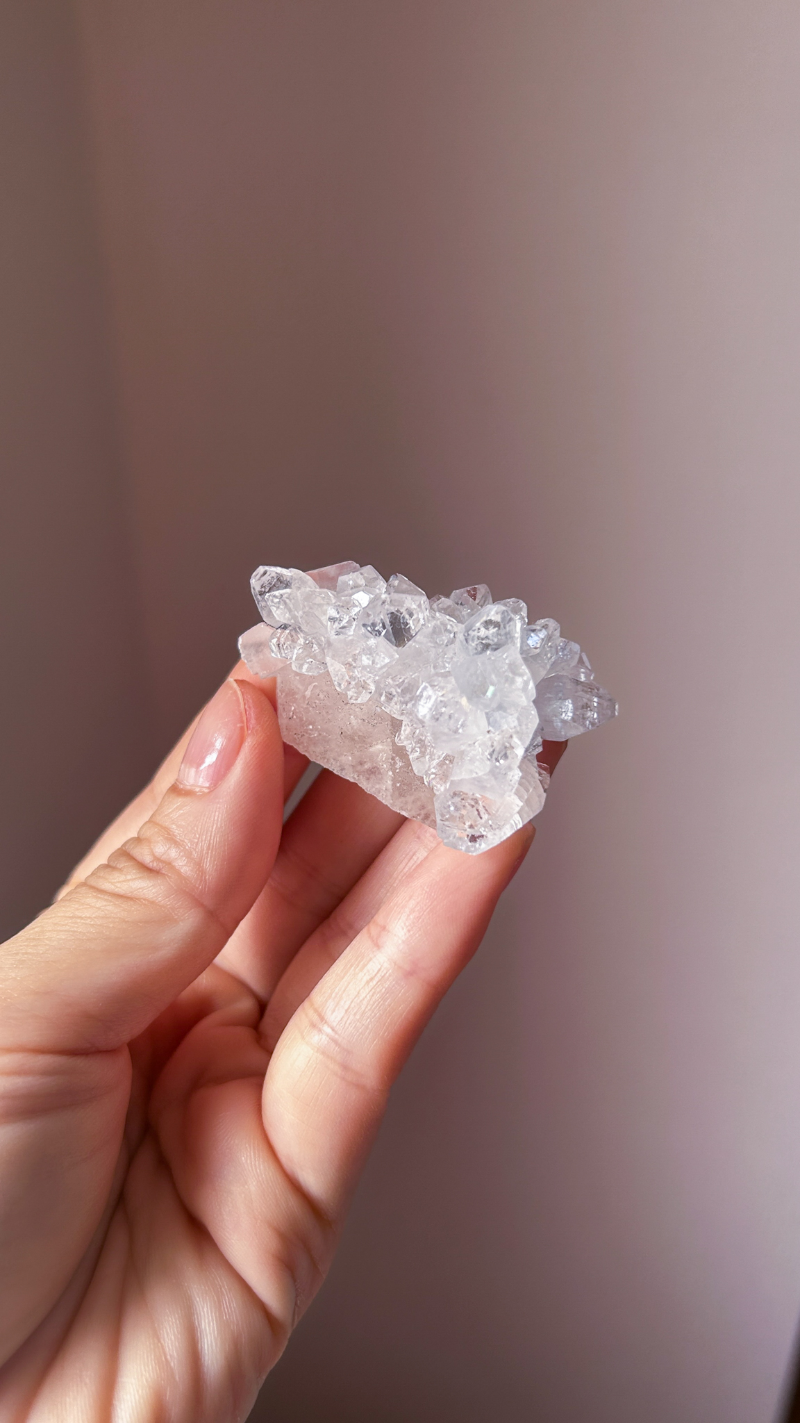 星の輝き 高品質なキラキラ・アポフィライトOnカルサイト Full of stars - 画像 (5)