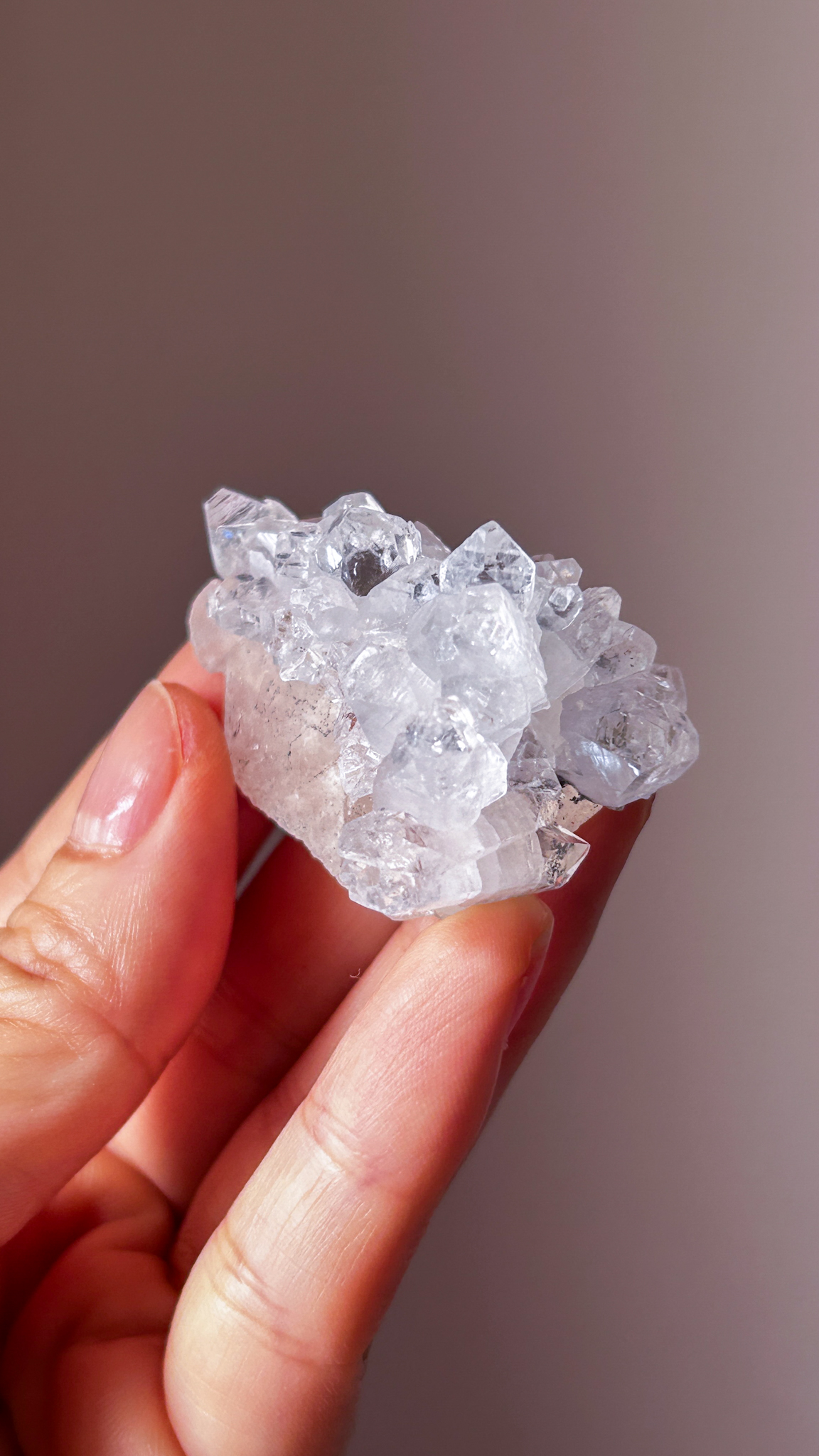 星の輝き 高品質なキラキラ・アポフィライトOnカルサイト Full of stars - 画像 (6)