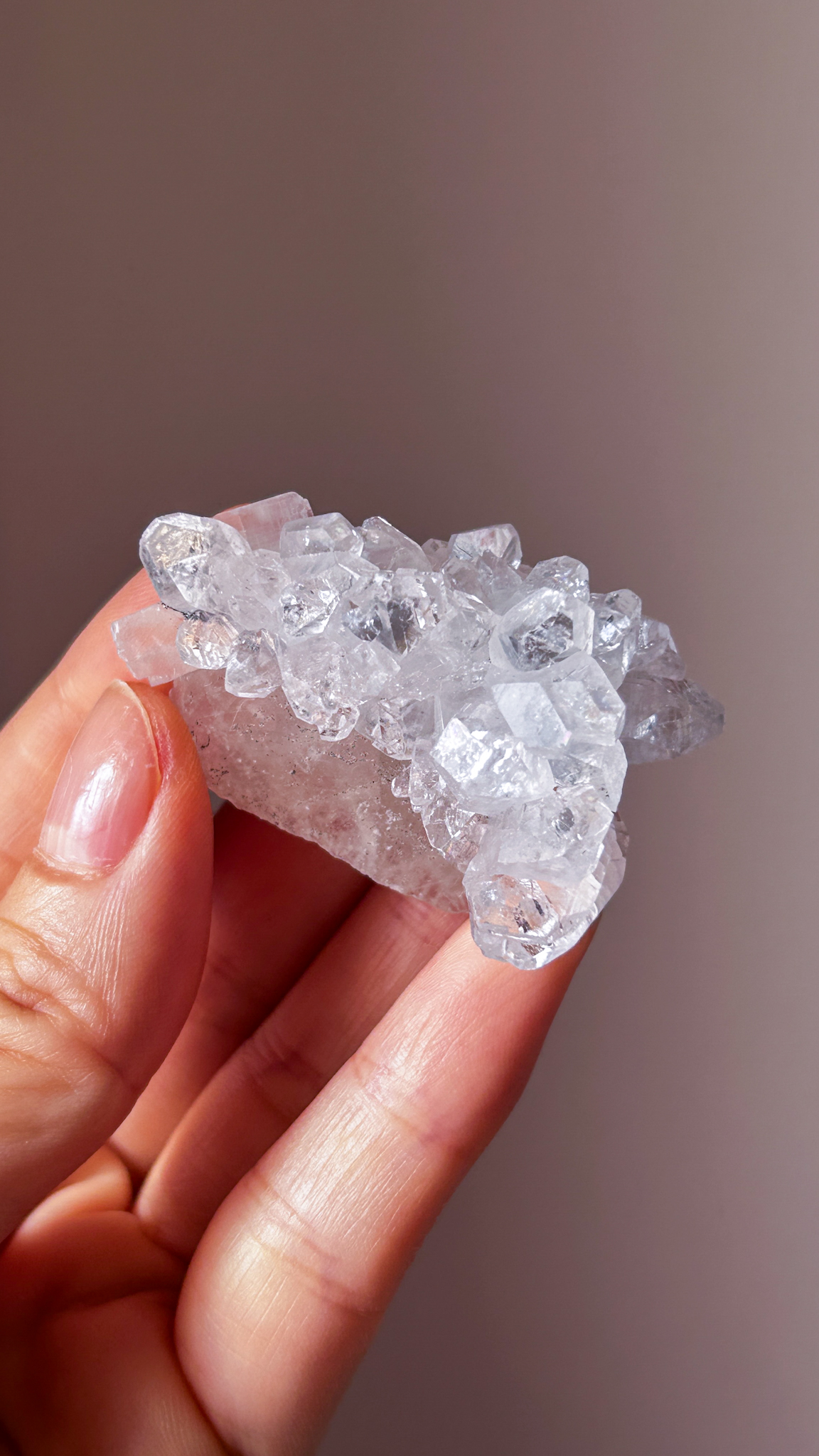 星の輝き 高品質なキラキラ・アポフィライトOnカルサイト Full of stars