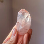 アメリカより帰国しました