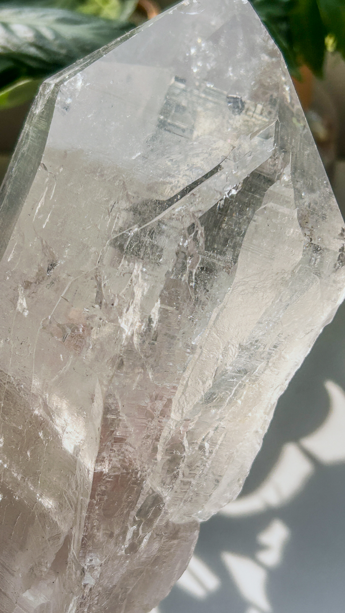 ご神体サイズ Maha Devi 美しいマニハール エネルギーを放つ特大の高純度ヒマラヤ水晶ポイント XXL 1.9KG - 画像 (8)