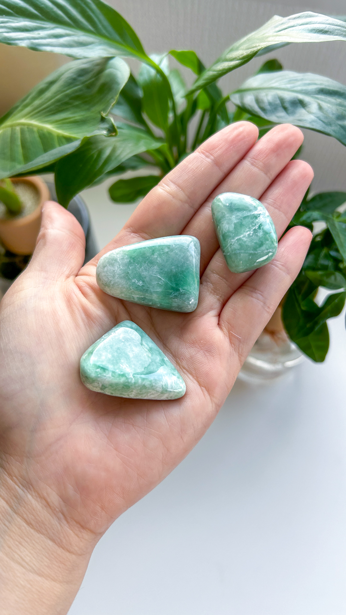 不老不死のお守り・美しいホワイトxみどり・ミャンマー翡翠 お守りストーン