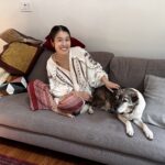 郵便サービスを開始しました