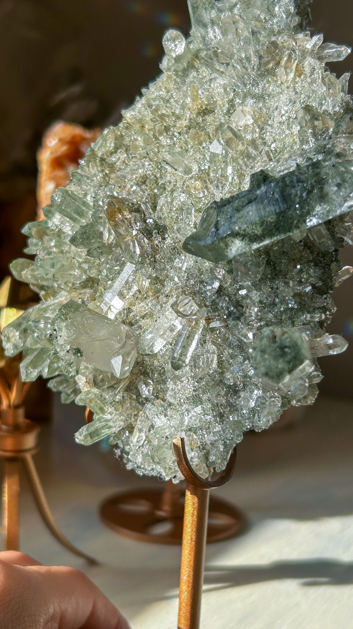美・キラキラのマニハールクラスター/ゴールドルチル・アナテース&クローライト スタンド付き The Abundance of God's Creation - 画像 (4)