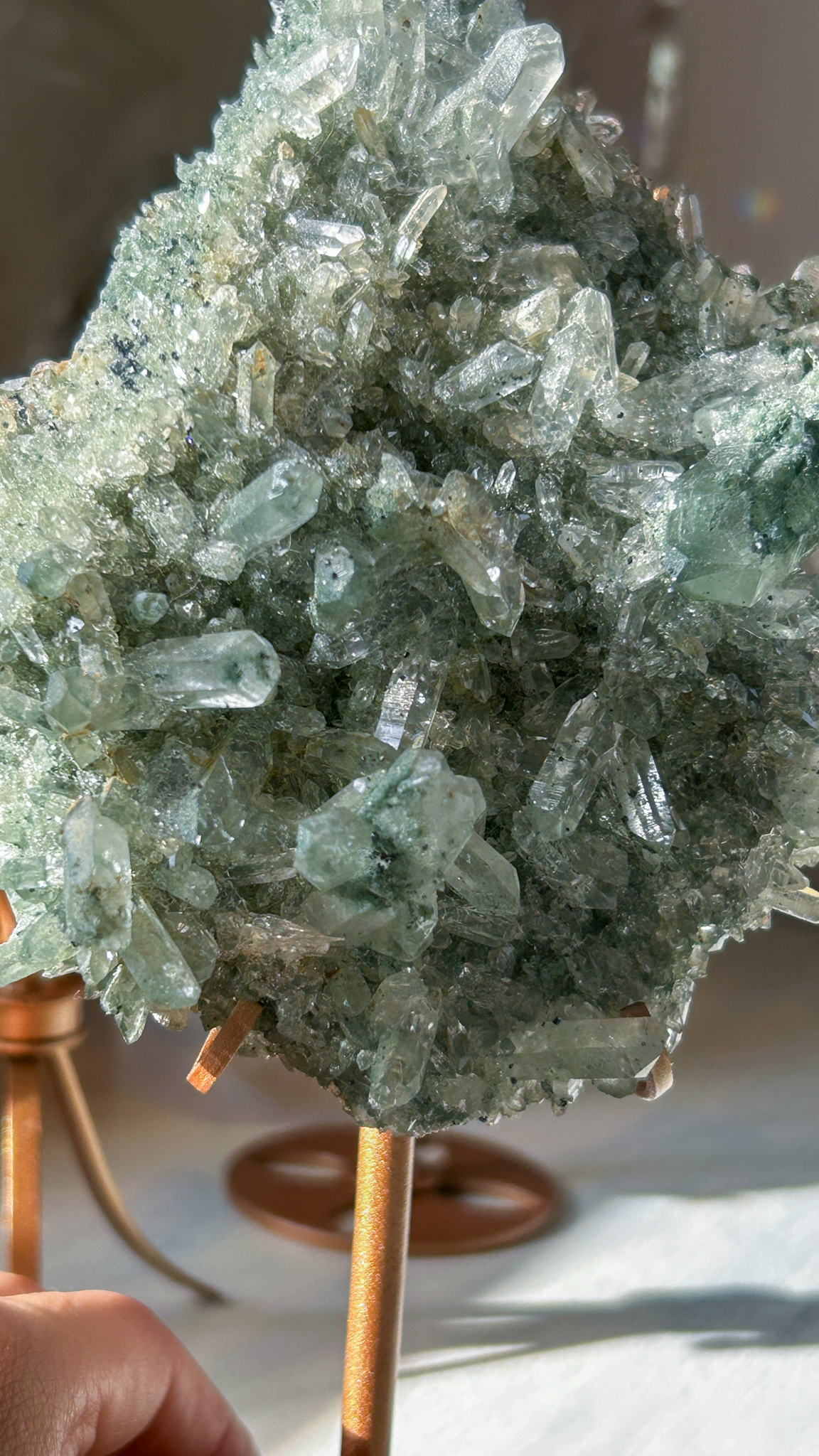 美・キラキラのマニハールクラスター/ゴールドルチル・アナテース&クローライト スタンド付き The Abundance of God's Creation - 画像 (5)