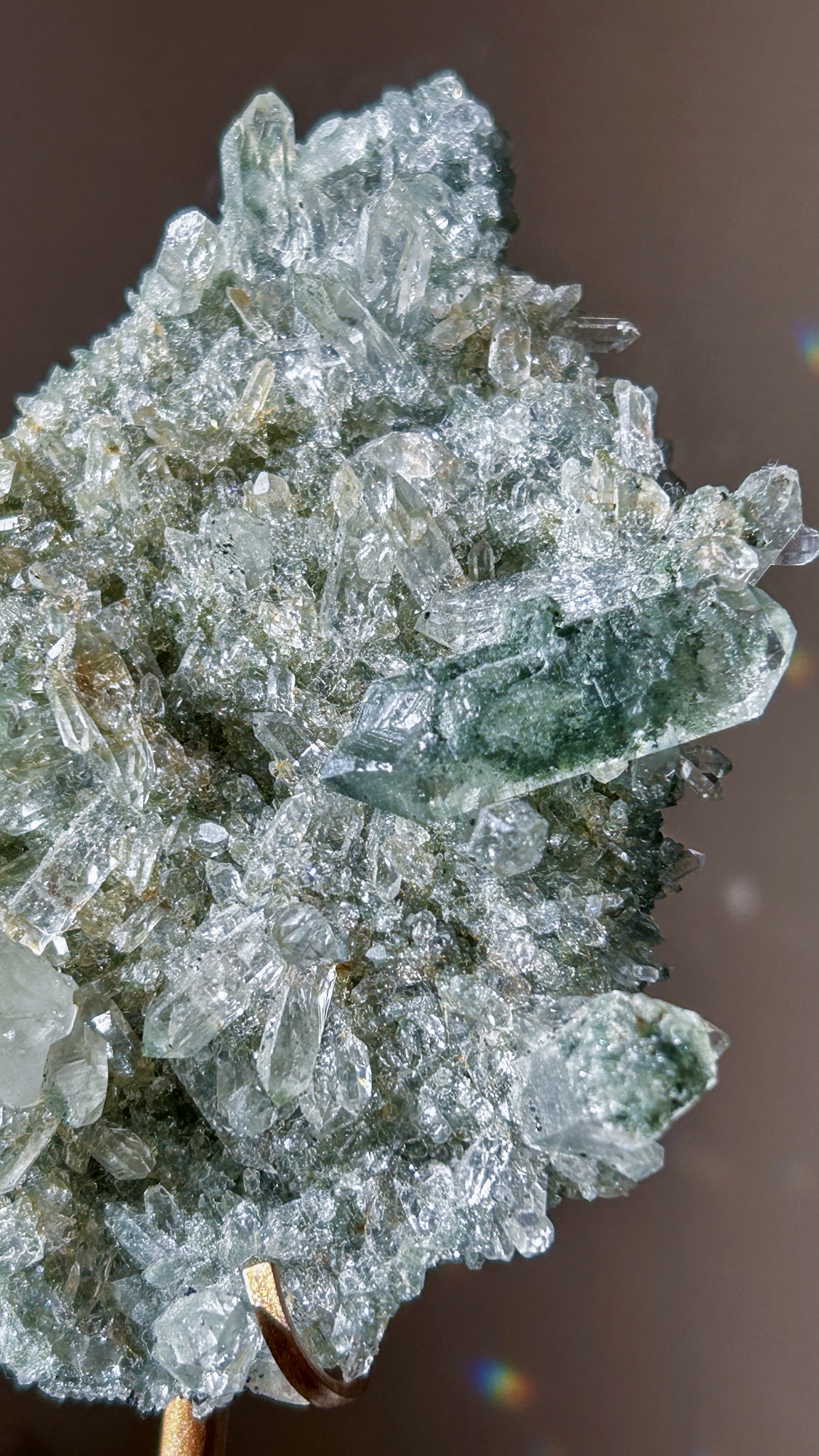 美・キラキラのマニハールクラスター/ゴールドルチル・アナテース&クローライト スタンド付き The Abundance of God's Creation - 画像 (11)