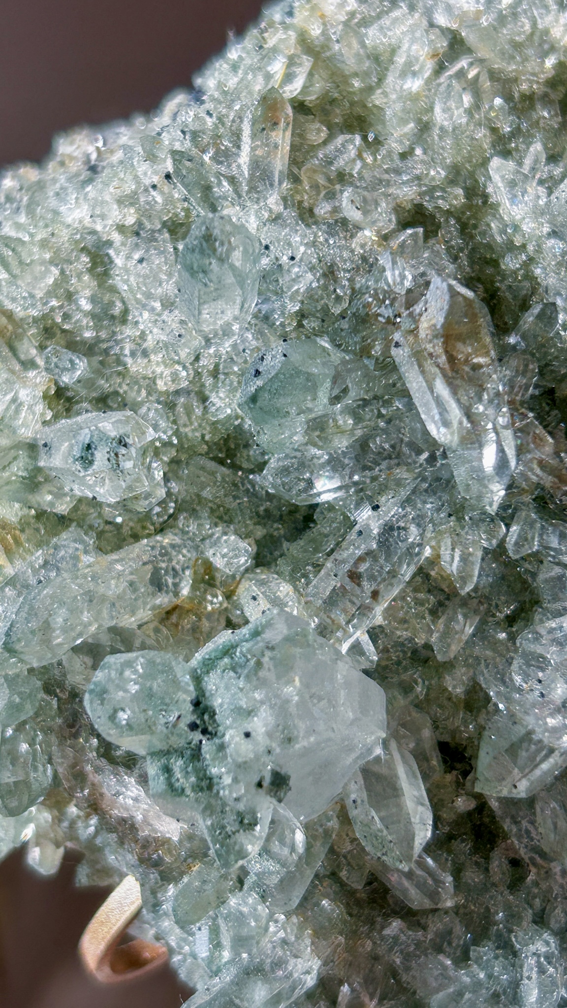 美・キラキラのマニハールクラスター/ゴールドルチル・アナテース&クローライト スタンド付き The Abundance of God's Creation - 画像 (12)