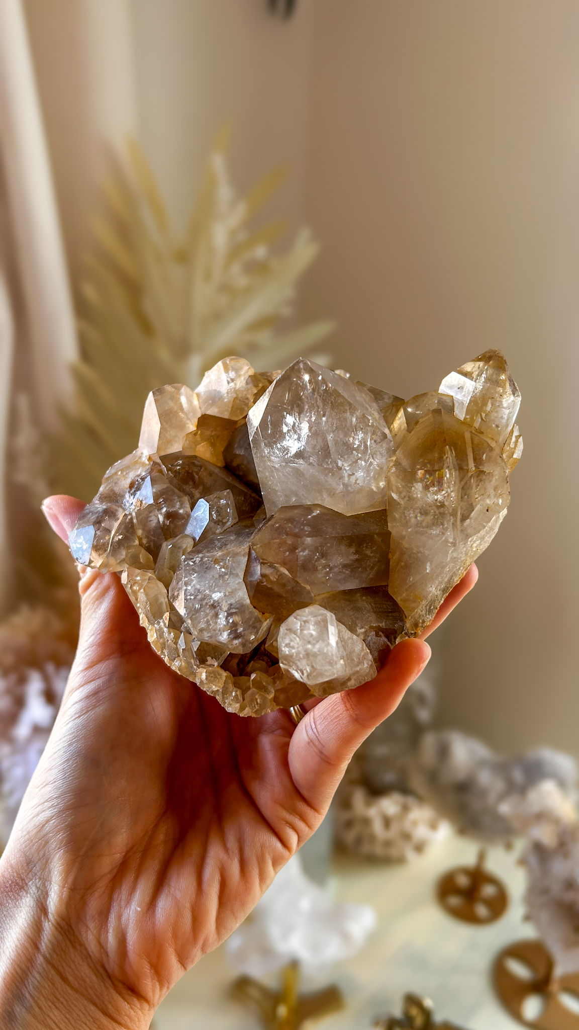 ブラジルより雷が落ちたスモーキーイエロー・ライトニング水晶 Thunder enlightningいかづちの啓示 - 画像 (8)