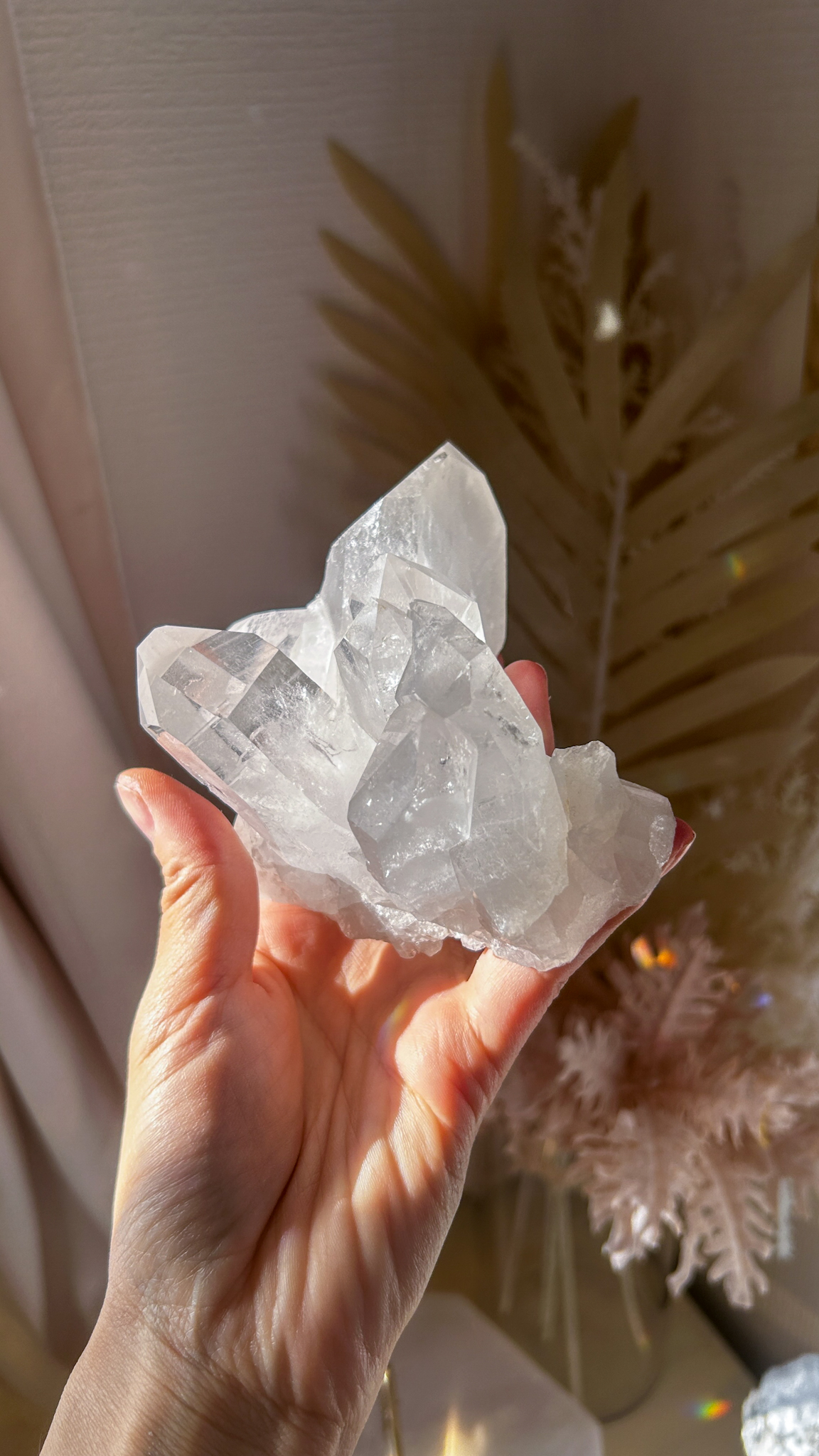 放射状の輝く水晶 高純度 クラスター トマスゴンサガ産 - 画像 (5)