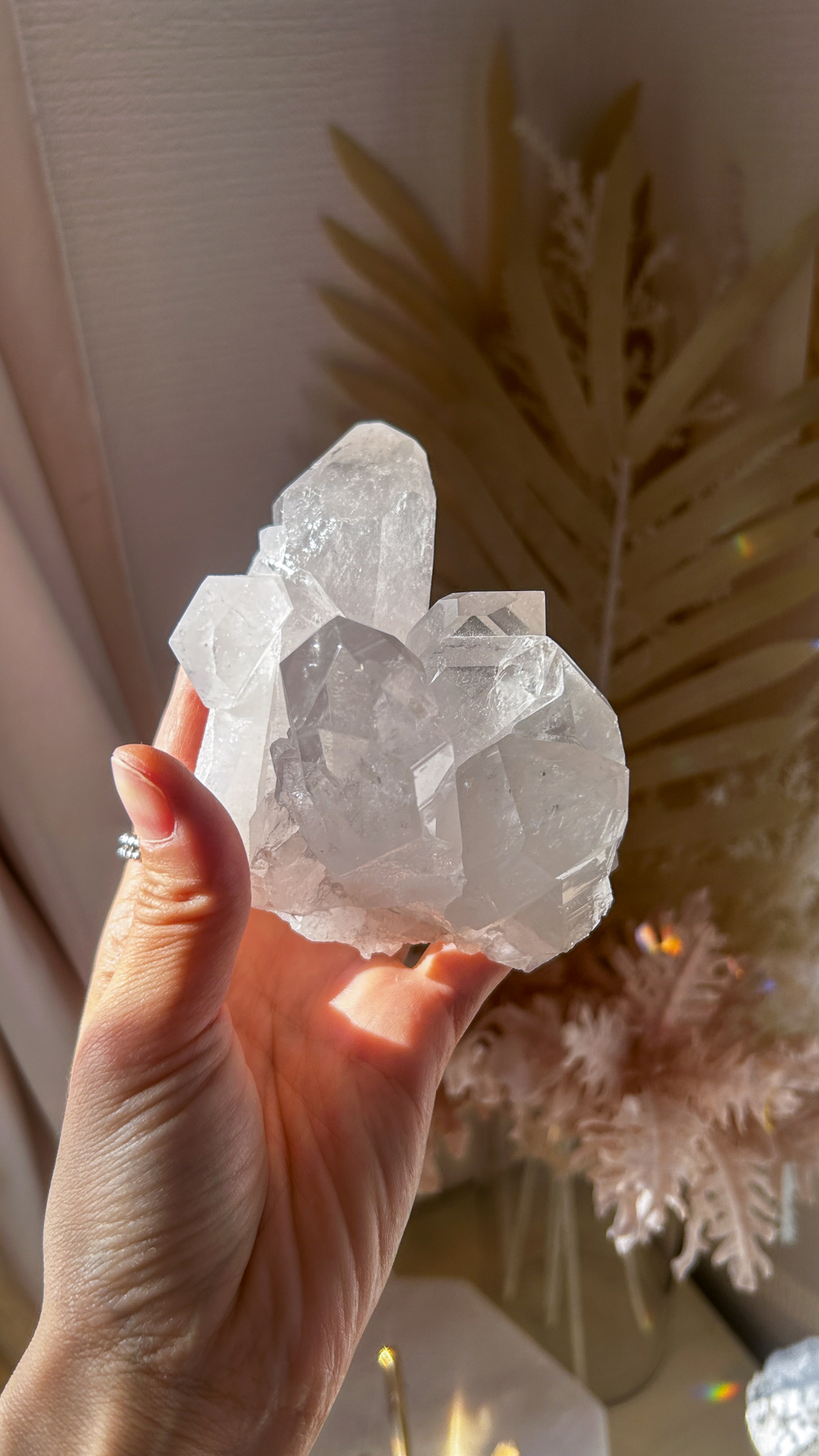 放射状の輝く水晶 高純度 クラスター トマスゴンサガ産 - 画像 (6)