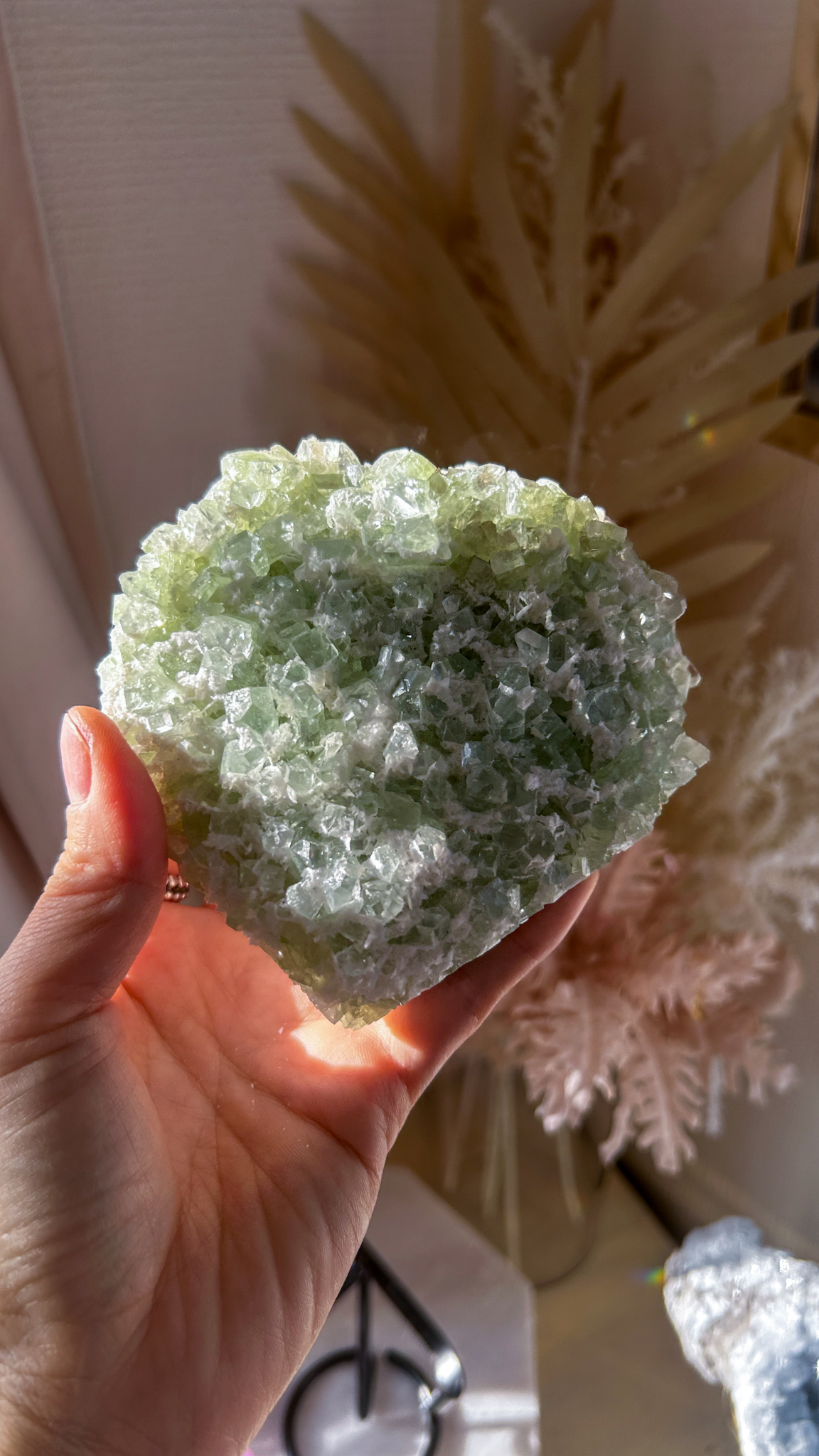 キューブの結晶 ケーキのようなグリーン アポフィライト with スティルバイト・オケナイト Lサイズ - 画像 (3)