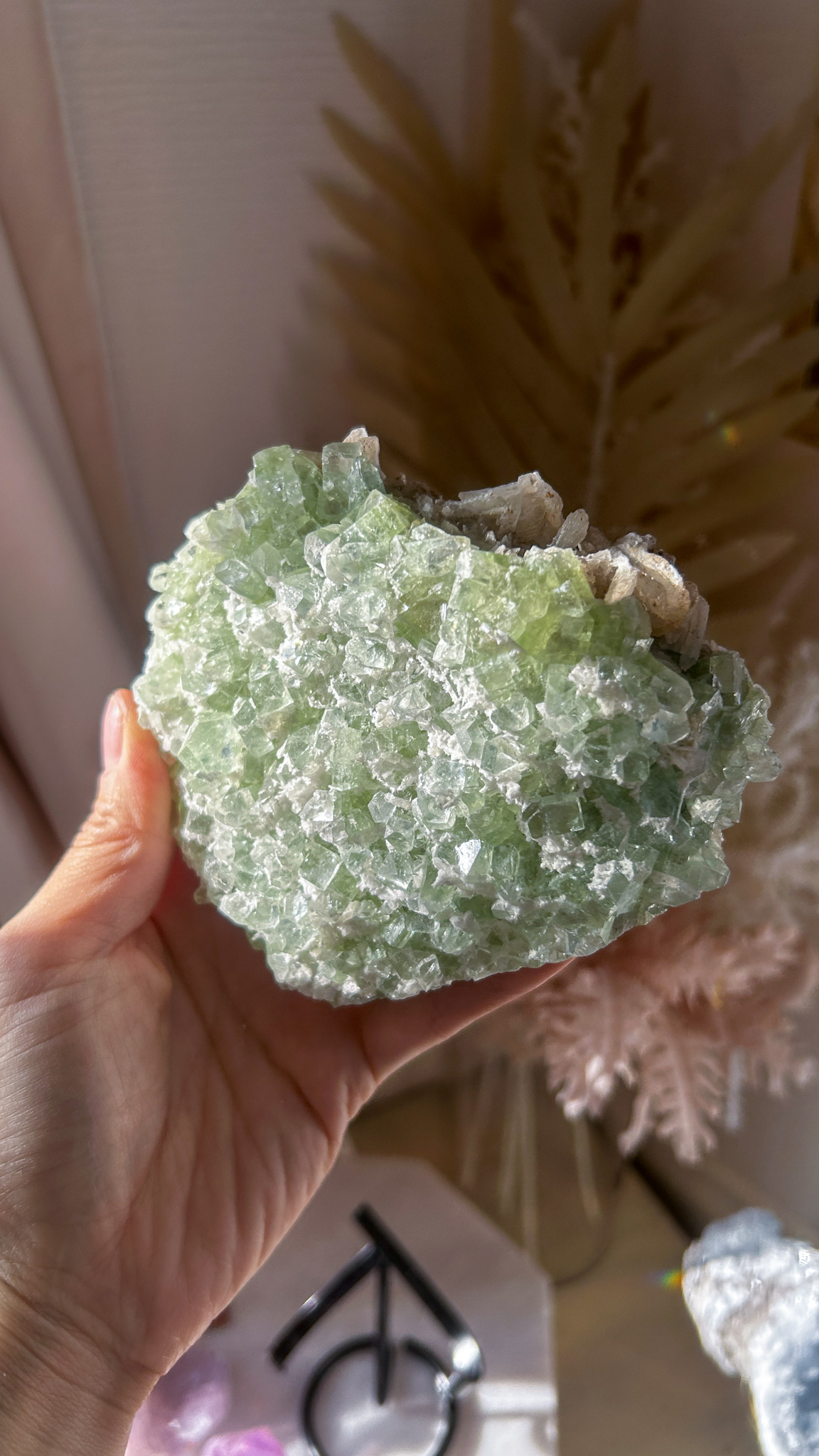 キューブの結晶 ケーキのようなグリーン アポフィライト with スティルバイト・オケナイト Lサイズ