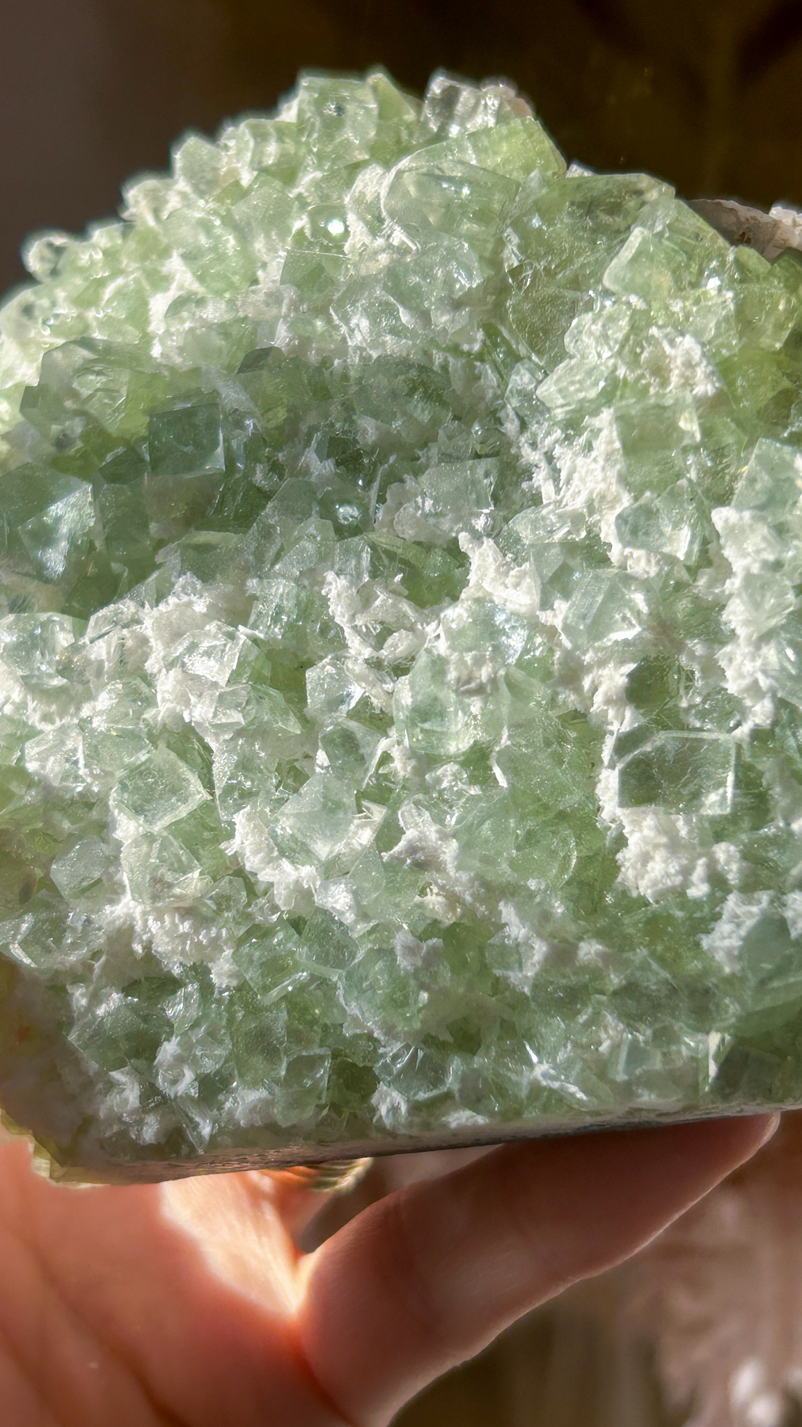 キューブの結晶 ケーキのようなグリーン アポフィライト with スティルバイト・オケナイト Lサイズ - 画像 (6)