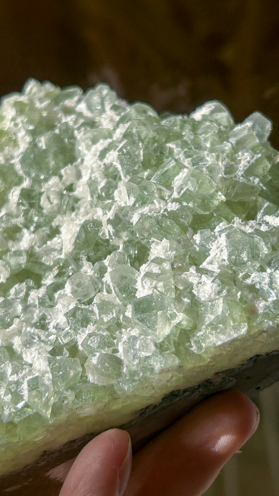 キューブ結晶 ケーキのようなグリーンアポフィライト with オケナイト ML - 画像 (5)