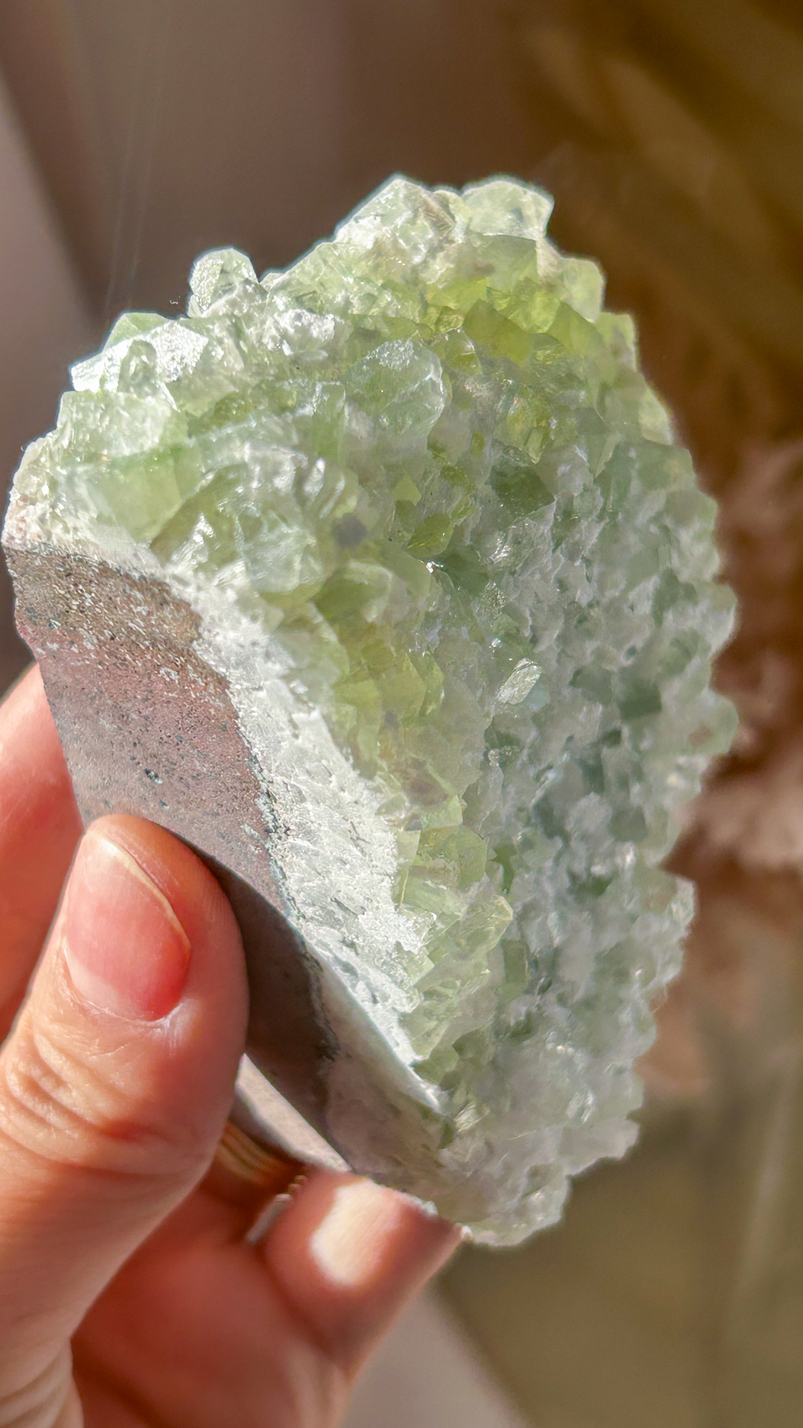 キューブ結晶 ケーキのようなグリーンアポフィライト with オケナイト ML - 画像 (7)