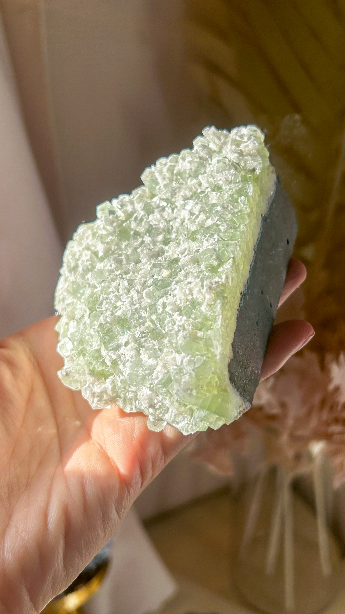 キューブ結晶 ケーキのようなグリーンアポフィライト with オケナイト ML - 画像 (8)