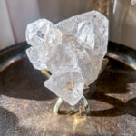 郵便サービスを開始しました