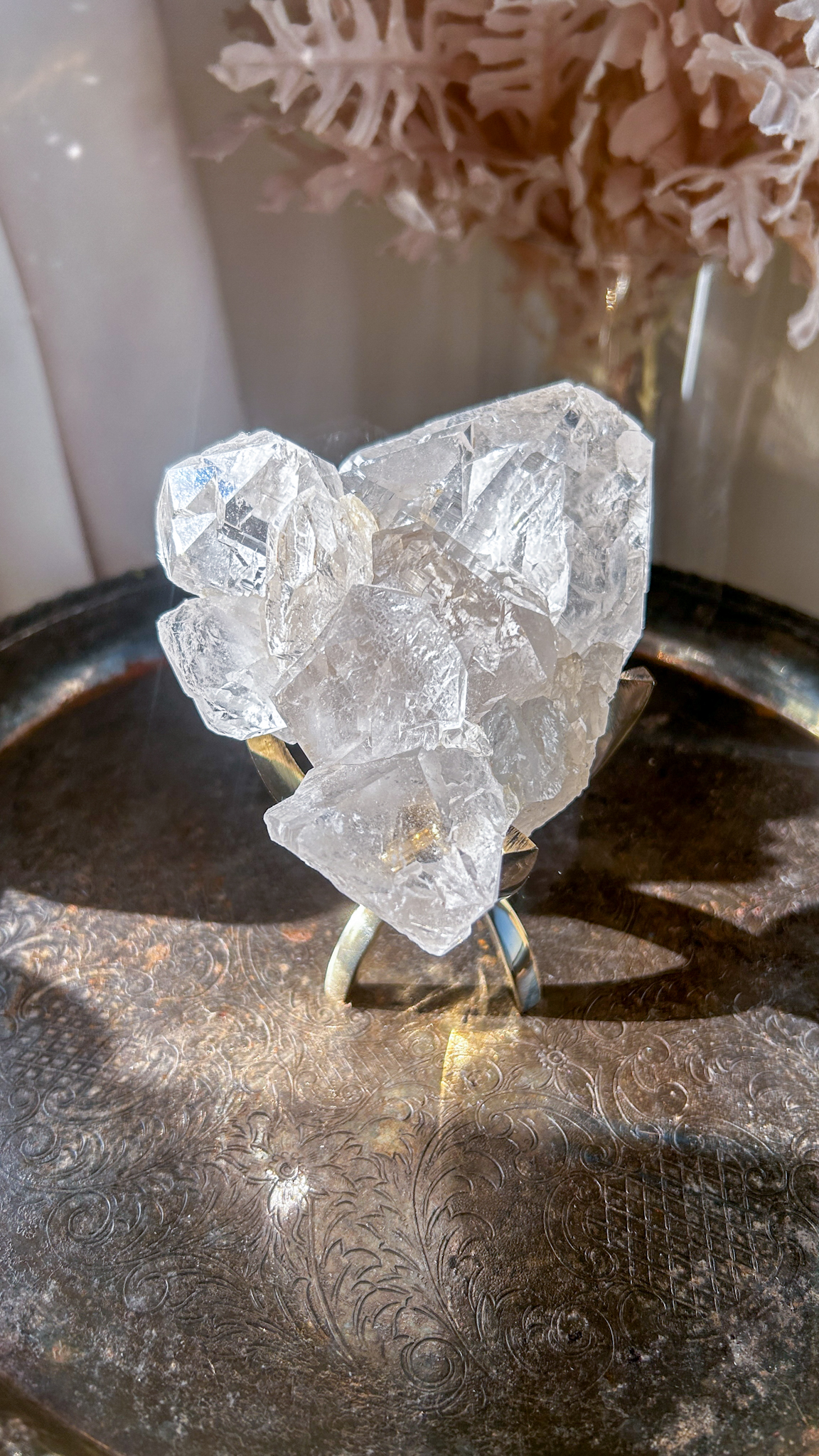 最高峰マニハール水晶マスタークリスタル エレスチャルカテドラル 個性的 一点もの Gods embodiment