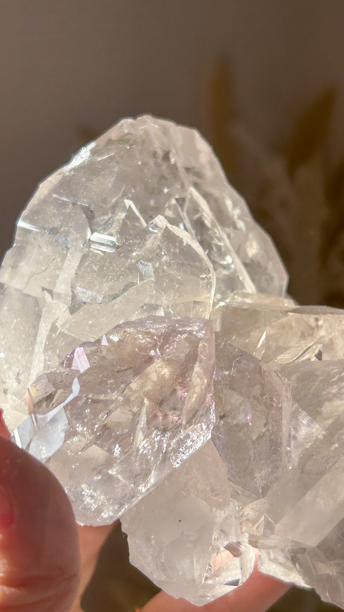 最高峰マニハール水晶マスタークリスタル エレスチャルカテドラル 個性的 一点もの Gods embodiment - 画像 (11)