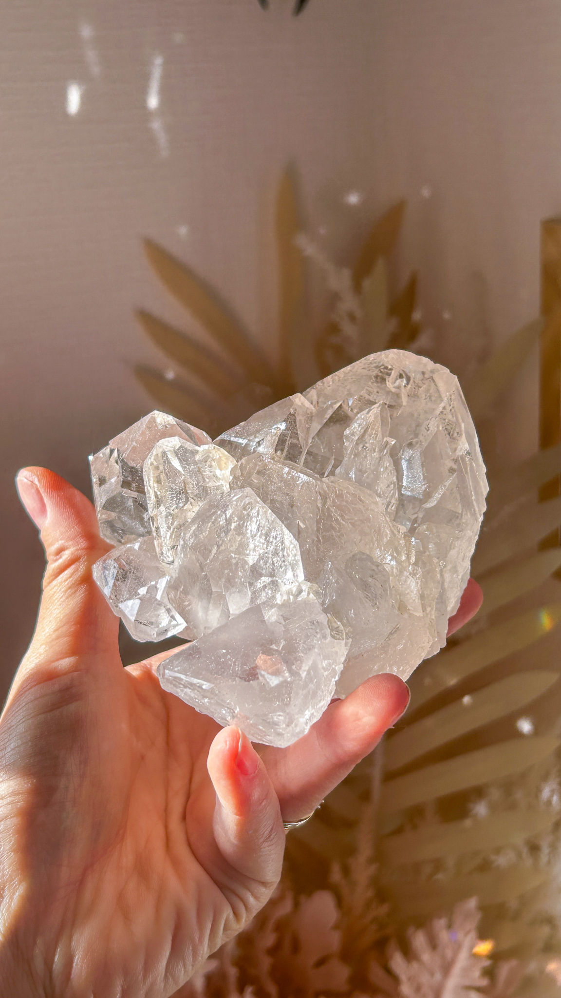 最高峰マニハール水晶マスタークリスタル エレスチャルカテドラル 個性的 一点もの Gods embodiment - 画像 (8)