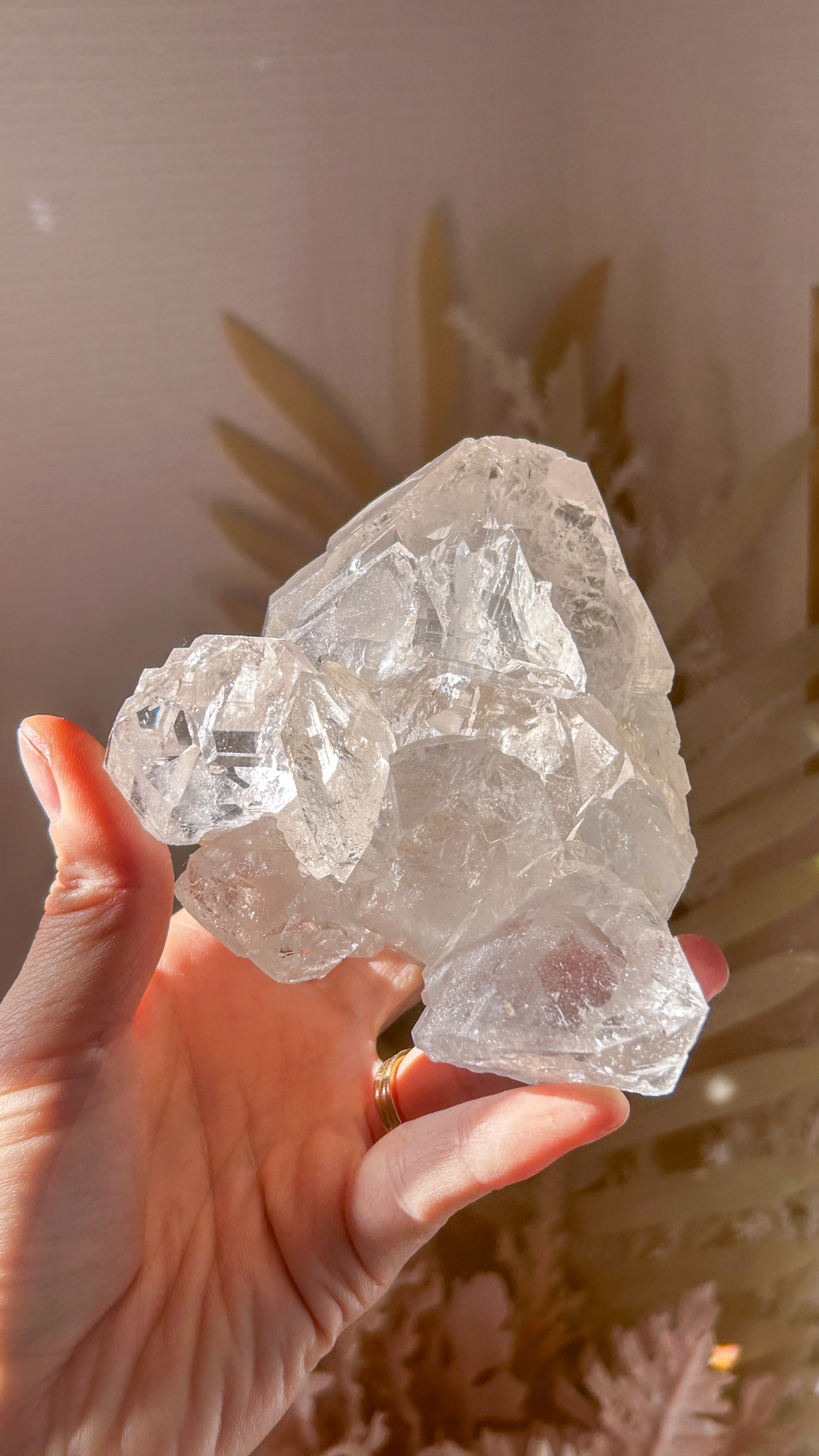 最高峰マニハール水晶マスタークリスタル エレスチャルカテドラル 個性的 一点もの Gods embodiment - 画像 (7)