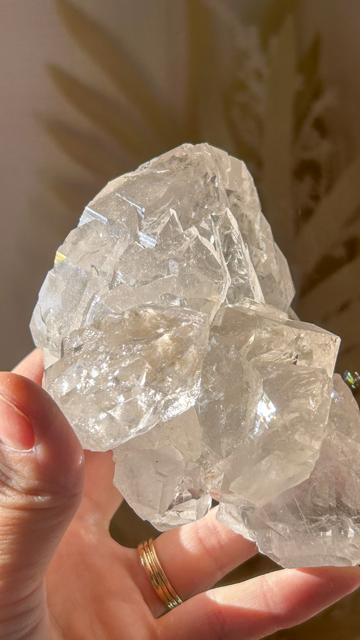 最高峰マニハール水晶マスタークリスタル エレスチャルカテドラル 個性的 一点もの Gods embodiment - 画像 (12)