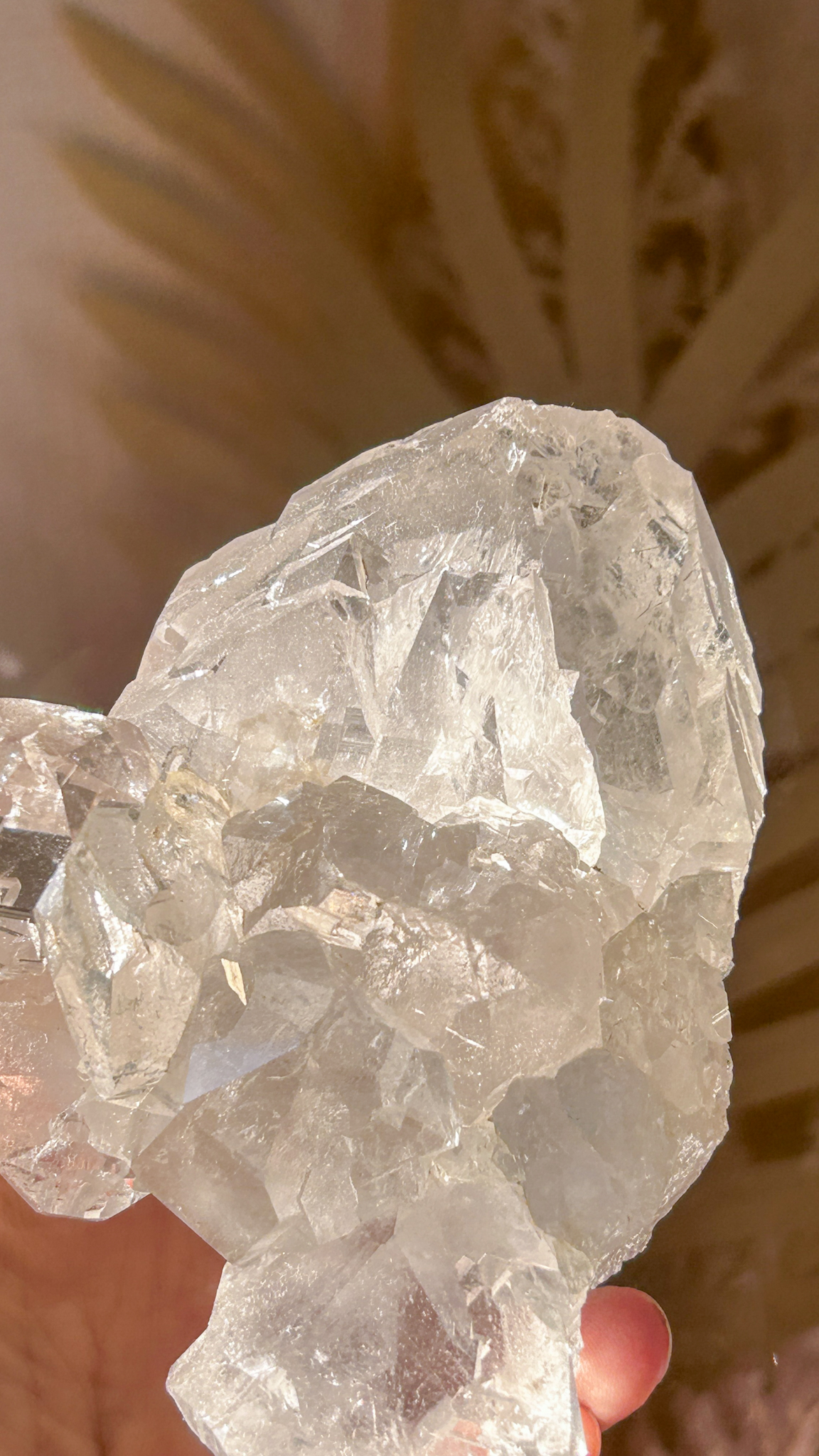 最高峰マニハール水晶マスタークリスタル エレスチャルカテドラル 個性的 一点もの Gods embodiment - 画像 (5)