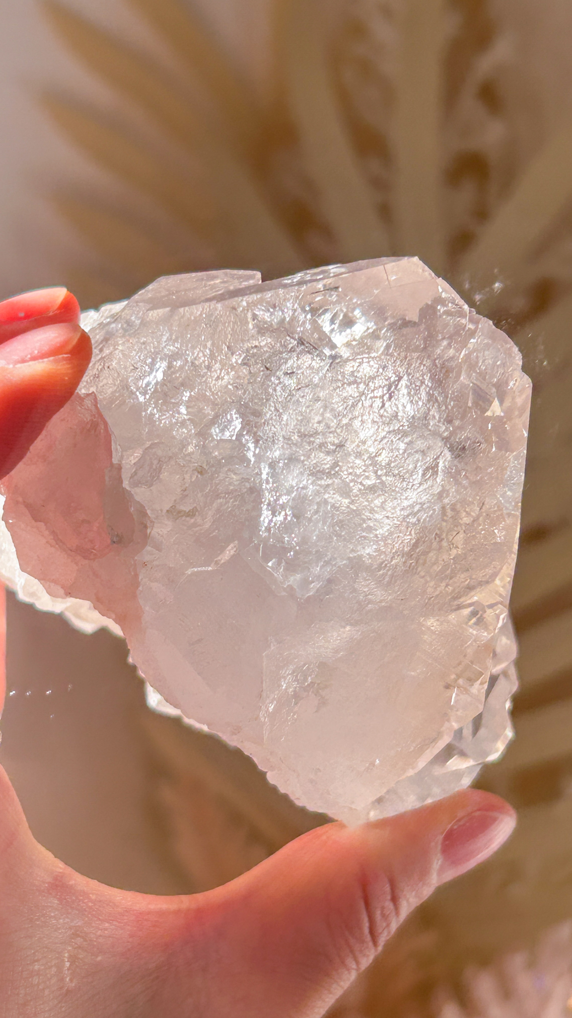 最高峰マニハール水晶マスタークリスタル エレスチャルカテドラル 個性的 一点もの Gods embodiment - 画像 (10)