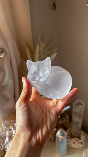 セレナイトの大きな猫ちゃん 🐈Sleepy Cat