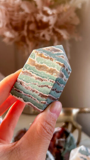 NEW FIND！芸術的なユニコーン🦄ジャスパー 希少な厳選ピースたち MintxBandings