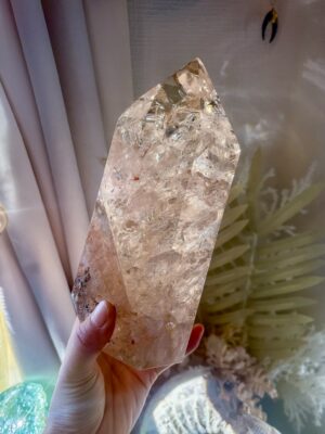 ▷特選コレクション Statement Selections