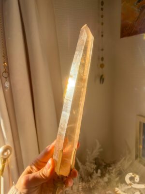 希少・大特価２３cm！まっすぐ伸びた タンジェリンレーザーレムリアンシード（コロンビア・ムゾー）スタンド付き